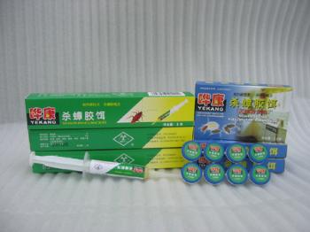 ���ڰ��Ϸ�������