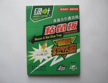 ���ڰ��Ϸ�������