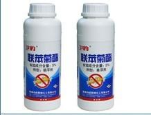 ���ڰ��Ϸ�������